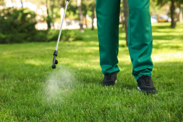 Best Local Pest Control Services  in Fort Rucker, AL