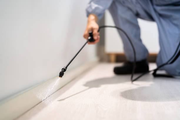 Best Flea Control Services  in Fort Rucker, AL