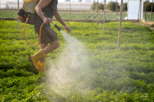 Best Best Pest Control Companies  in Fort Rucker, AL