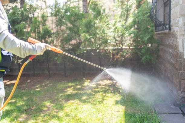 Best Rodent Control Near Me  in Fort Rucker, AL