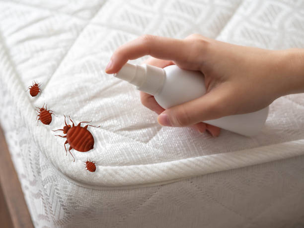 Best Mosquito Control Services  in Fort Rucker, AL