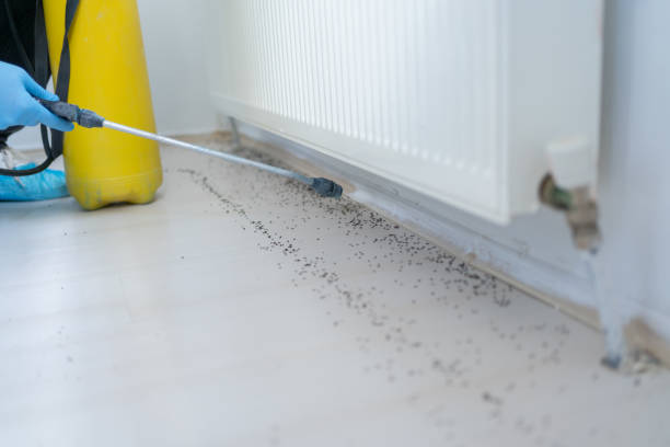 Best Exterminator Services  in Fort Rucker, AL