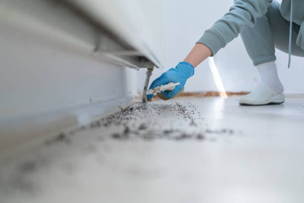 Best Pest Removal Services  in Fort Rucker, AL