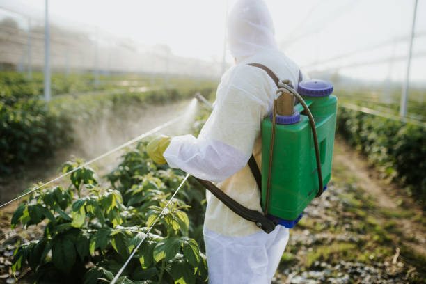 Best Bed Bug Extermination  in Fort Rucker, AL